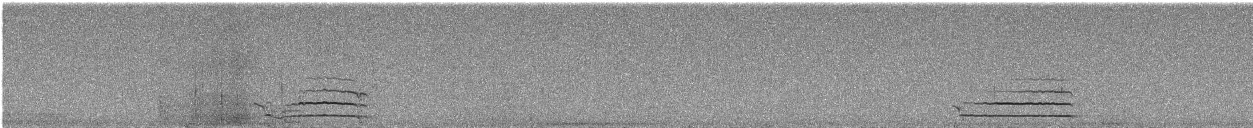 Western Screech-Owl - ML627627434