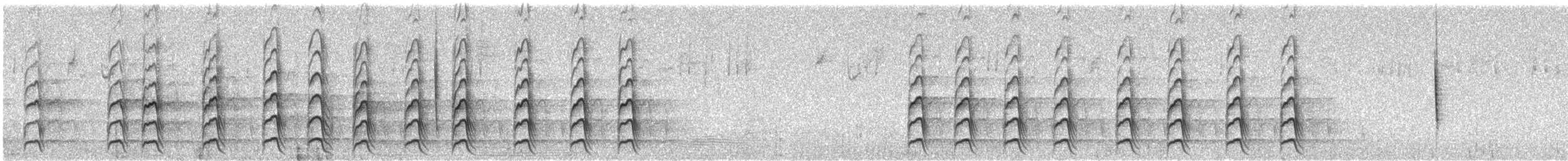 Gila Woodpecker - ML627627456