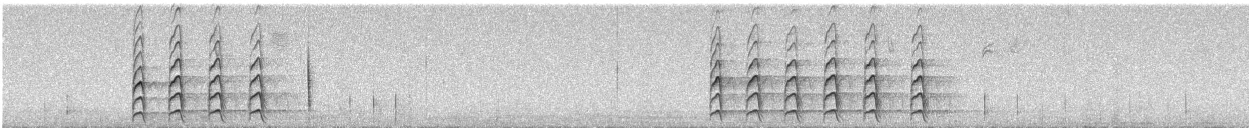 Gila Woodpecker - ML627627458