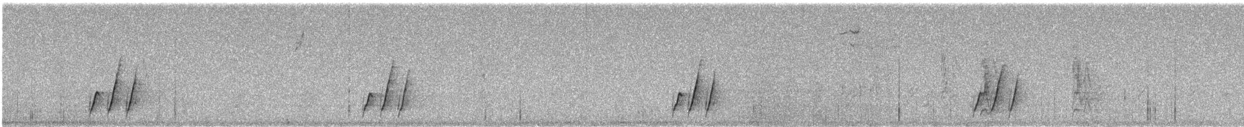 Curve-billed Thrasher - ML627627476