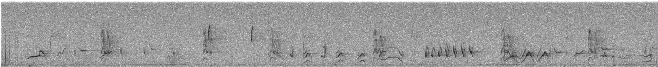 Curve-billed Thrasher - ML627627477