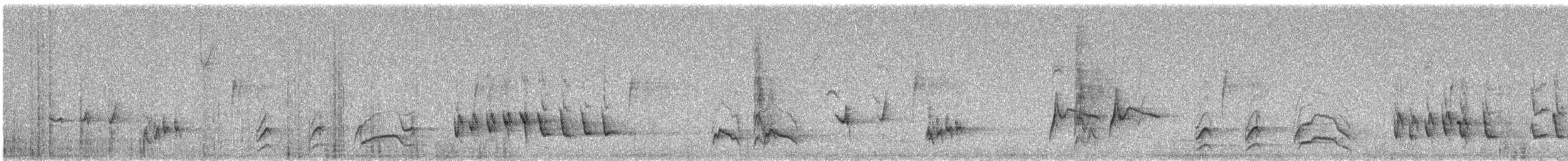 Curve-billed Thrasher - ML627627478