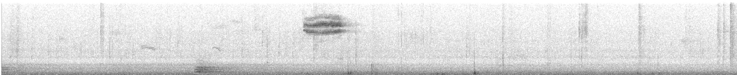 ユキヒメドリ（oreganus グループ） - ML627628678