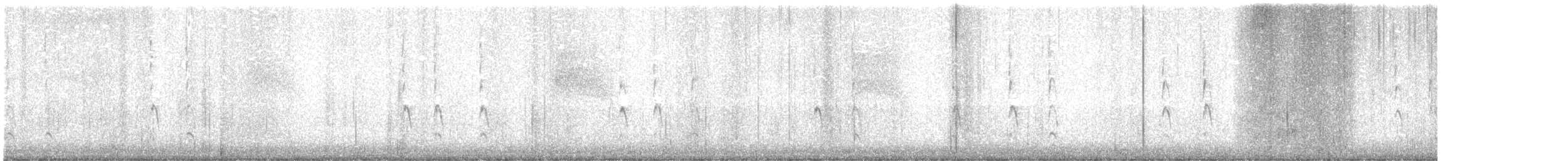 Winter Wren - ML627638896