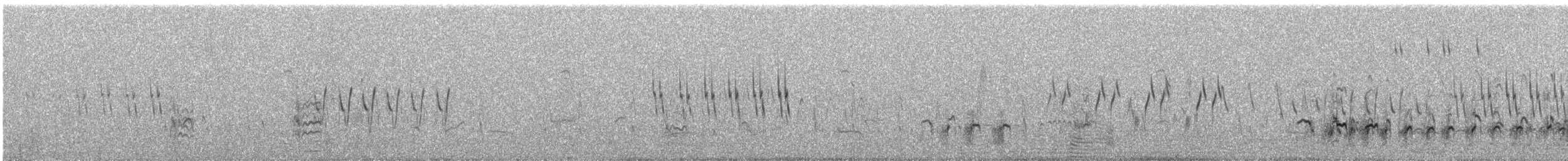 コシャクシギ - ML627644548