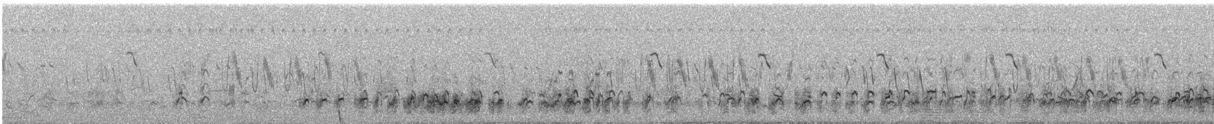 コシャクシギ - ML627645118