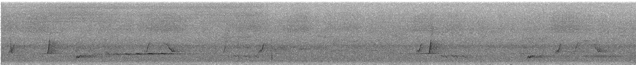 Pallid Cuckoo - ML627648245