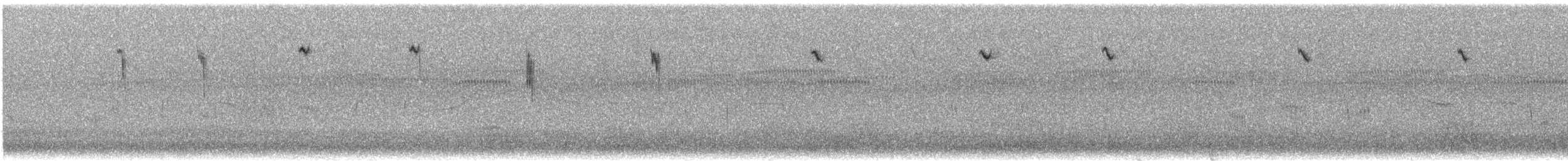 White-winged Fairywren - ML627648464