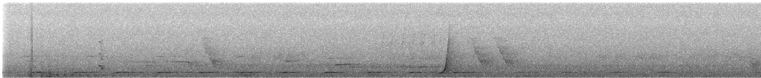 Australian Brushturkey - ML627648717
