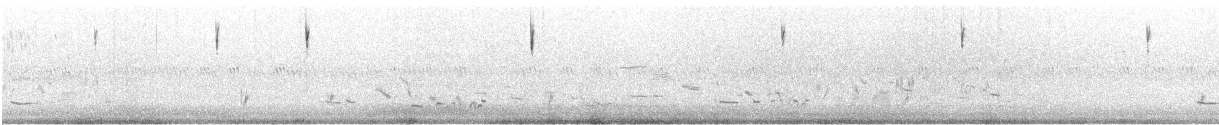 Savannah Sparrow - ML627650366