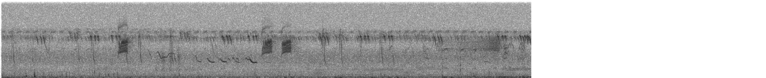 River Prinia - ML627653885