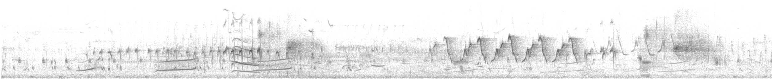 Eared Grebe - ML627656675
