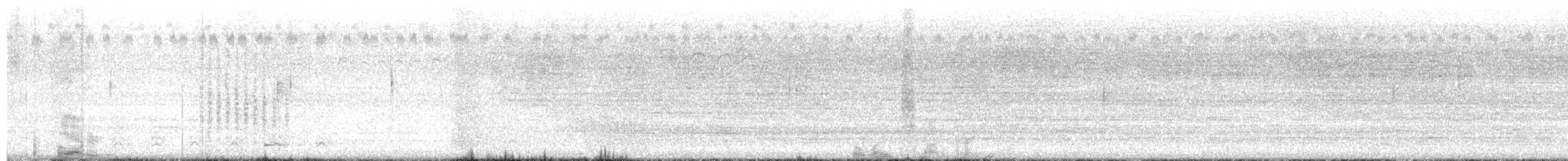 new world oriole sp. - ML627658227