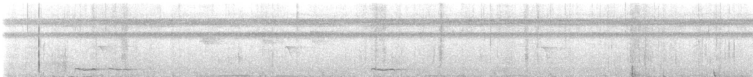 purpurskjeggkotinga - ML627659173