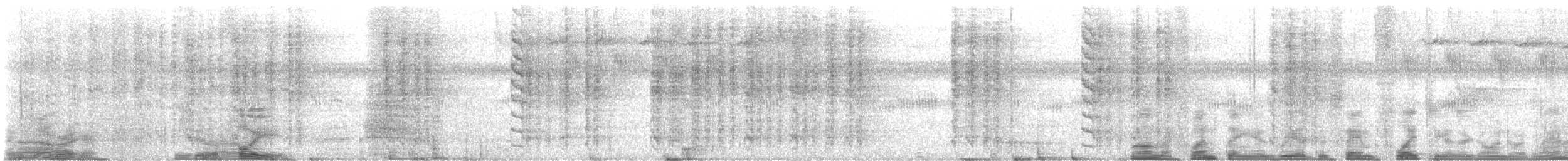 White-headed Wren - ML627660893
