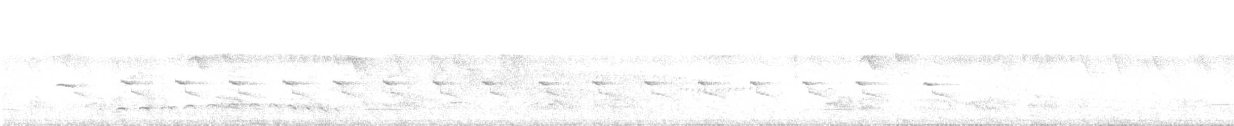 Spot-breasted Antvireo - ML627667023