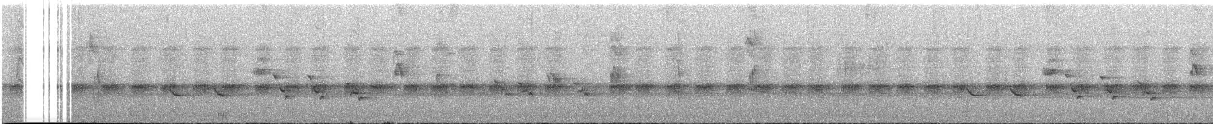 Bougainville Island-Thrush - ML627667026