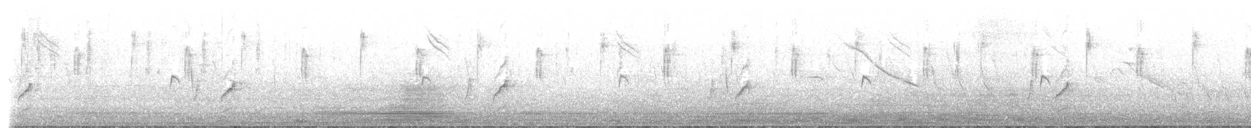 Synallaxe d'Azara - ML627673227