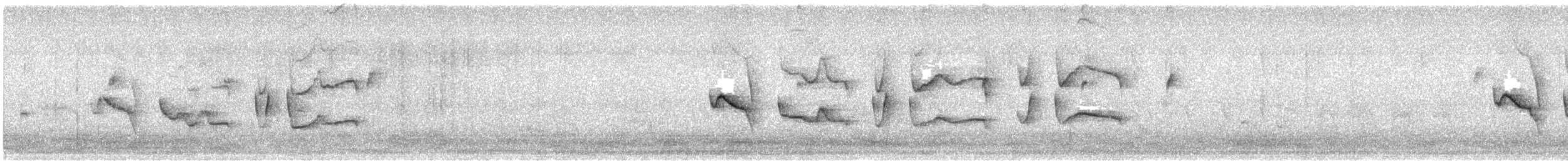 Salpornis tacheté - ML627680947