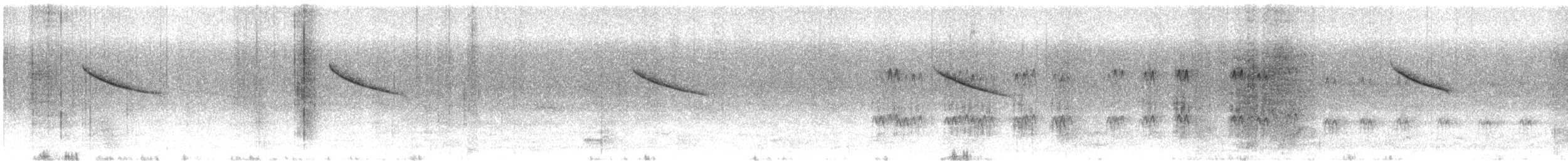 White-crowned Penduline-Tit - ML627681018
