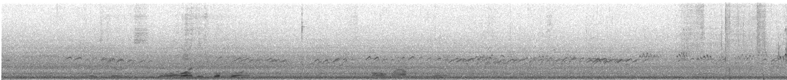 Terek Sandpiper - ML627681030