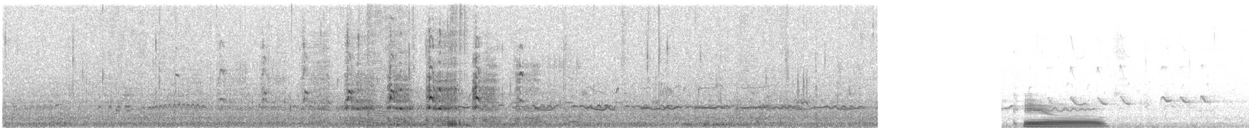 Beach Thick-knee - ML627682015