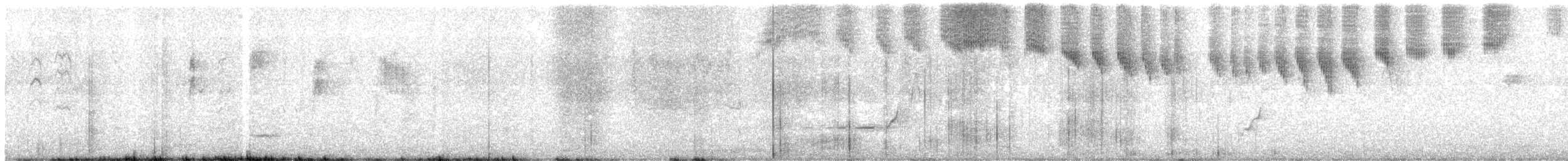 Southern Emuwren - ML627683613