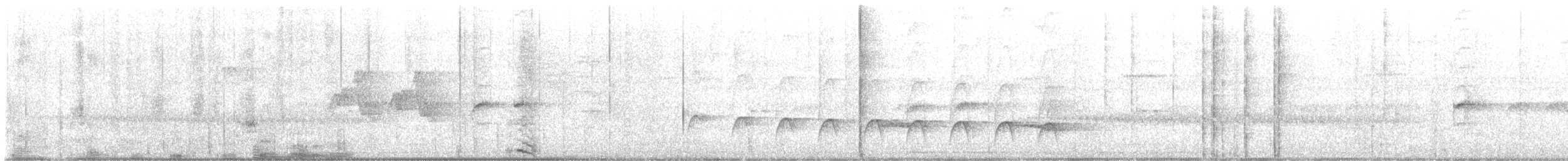 White-flanked Antwren - ML627690121