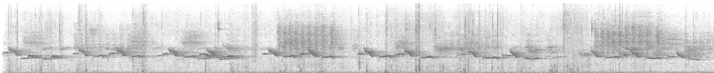 White-breasted Wood-Wren - ML627690219