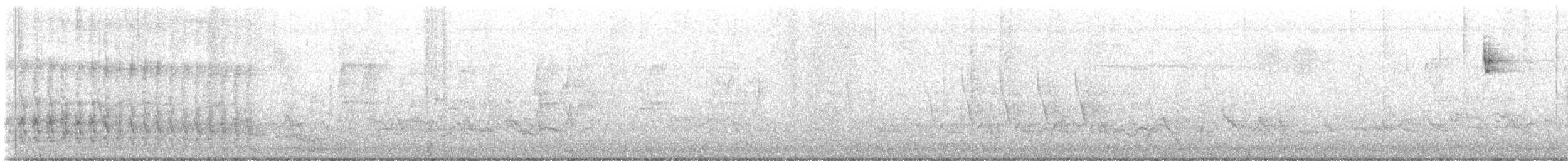 lesňáček lejsčí - ML627694967