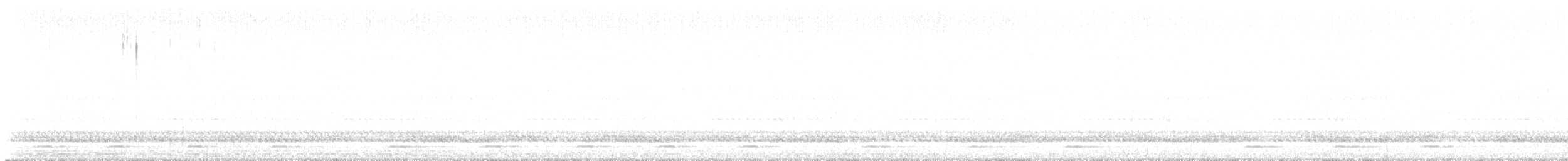 Northern Saw-whet Owl - ML627704782