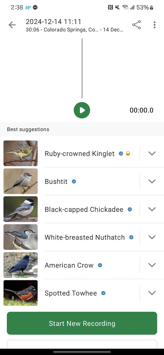 Ruby-crowned Kinglet - ML627713243