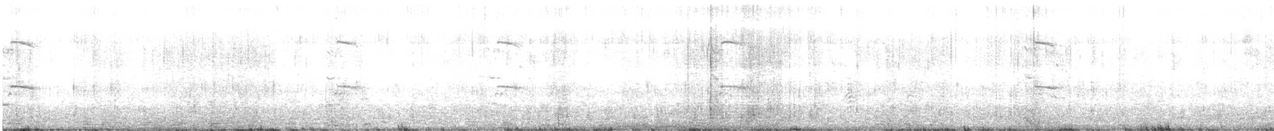Western Gull - ML627716577