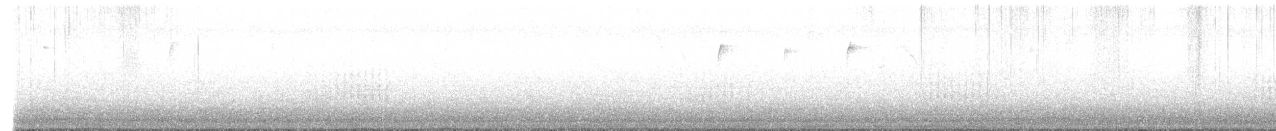 wren sp. - ML627717281