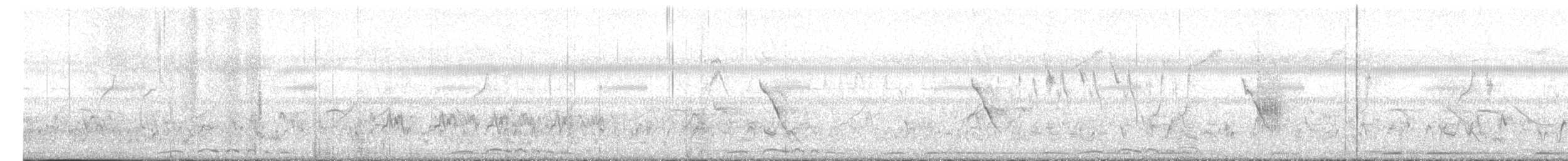 Хээрийн галуу - ML627720921