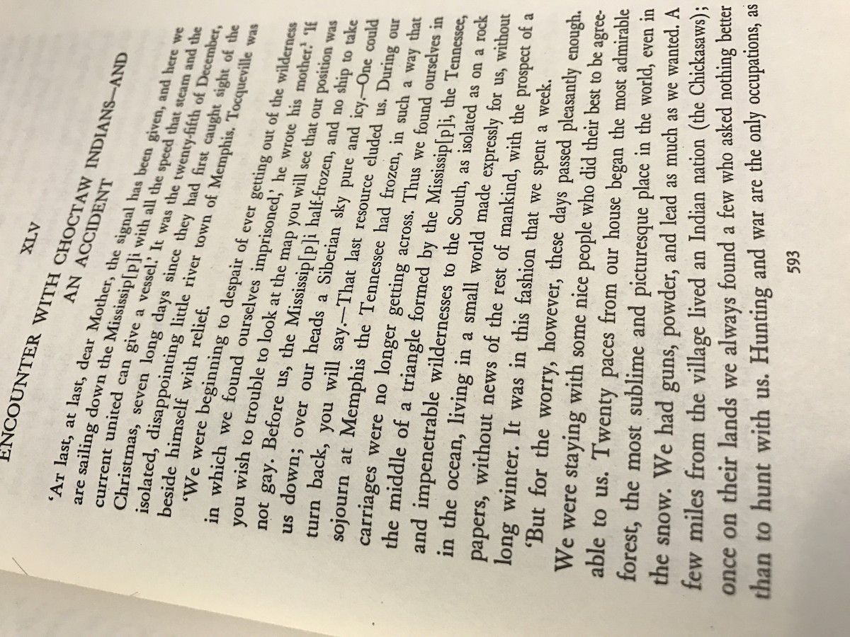 Carolina Parakeet - ML62772181