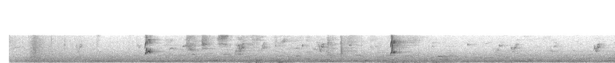 Hybride Tyran de Couch x T. de l'Ouest - ML627722083