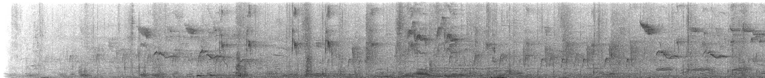 クロヒタキ - ML627722118