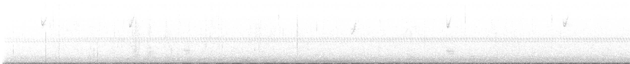 Gadwall - ML627723925