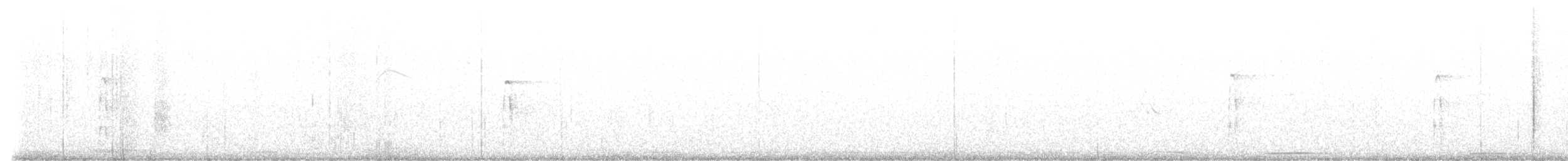 Hairy Woodpecker - ML627726131