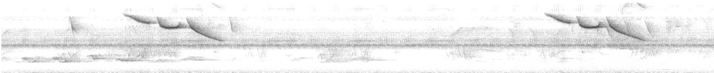 Half-collared Sparrow - ML627727132