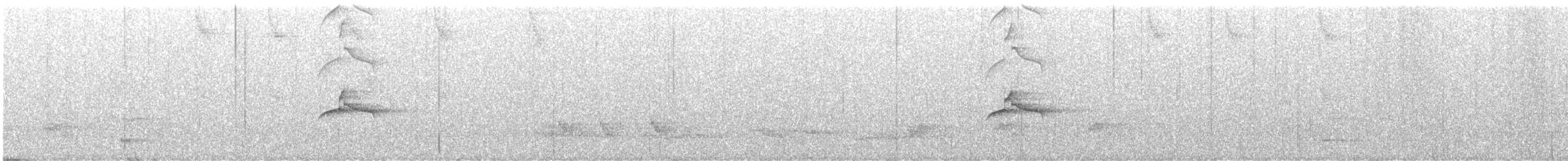 Piratic Flycatcher - ML627733640