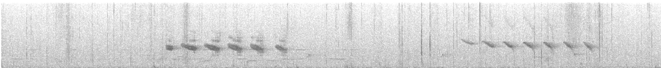 Star-throated Antwren - ML627733833