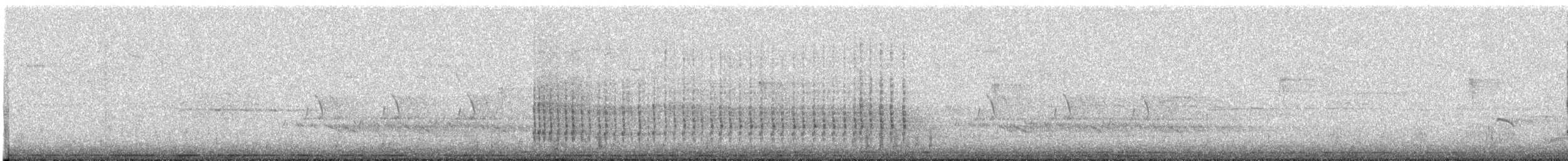 Belted Kingfisher - ML627734299