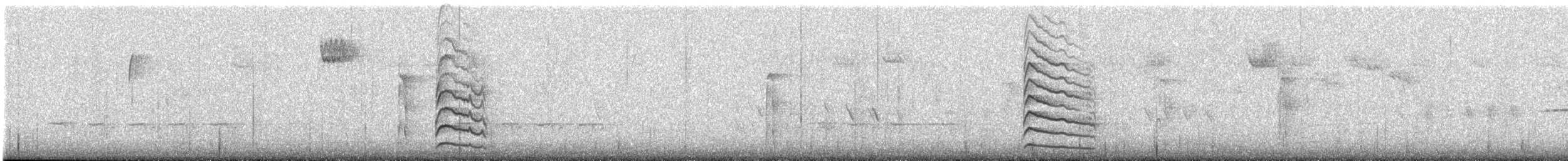 Yellow-bellied Sapsucker - ML627734302