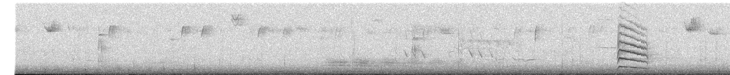 Yellow-bellied Sapsucker - ML627734305