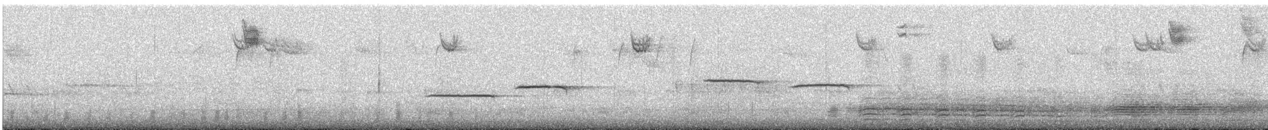 White-throated Sparrow - ML627734326