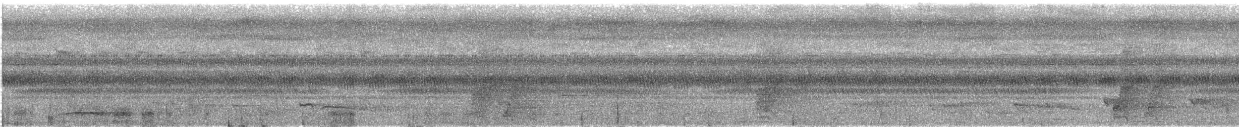 Malaysian Eared-Nightjar - ML627749662