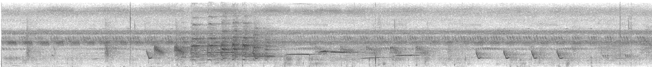 Oriental Pied-Hornbill - ML627749675