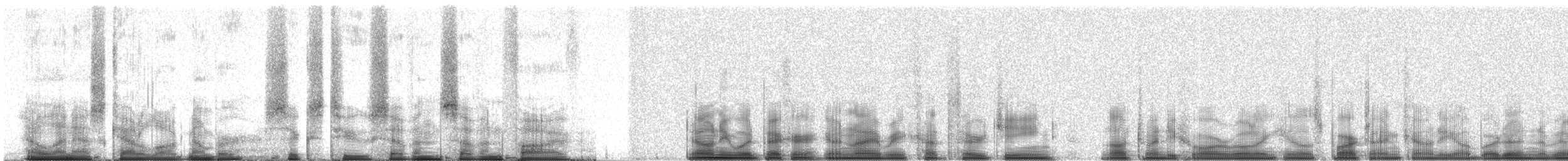 Downy Woodpecker - ML62775